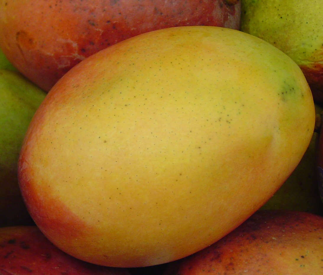 mango2