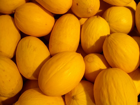 melons-bff2