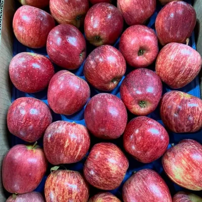 distribuidor-mayorista-manzanas-2