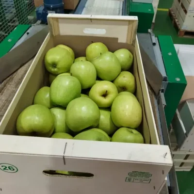 distribuidores-manzanas-2