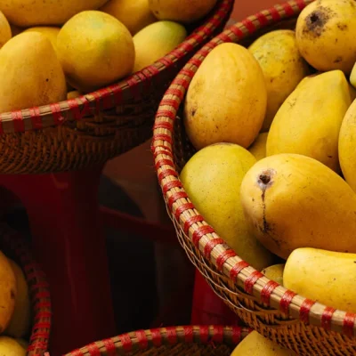 mango (2)