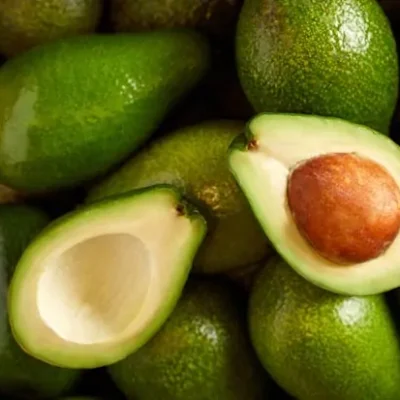 mayorista-aguacates-1
