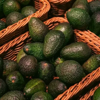 mayorista-aguacates-3
