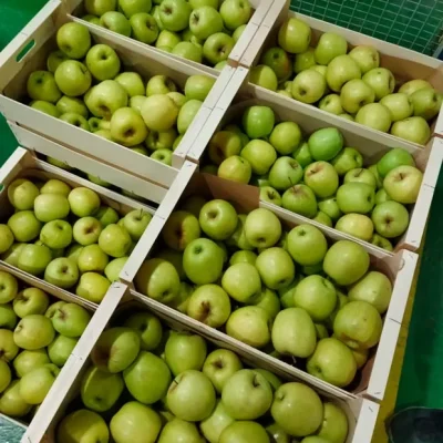 mayorista-manzanas-2